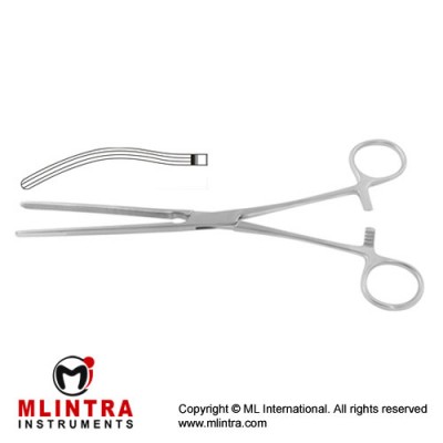 Kocher Intestinal Clamp Curved Stainless Steel, 27.5 cm - 10 3/4"